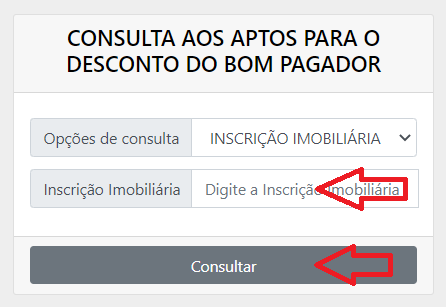 Consulta Bom Pagador Niterói RJ